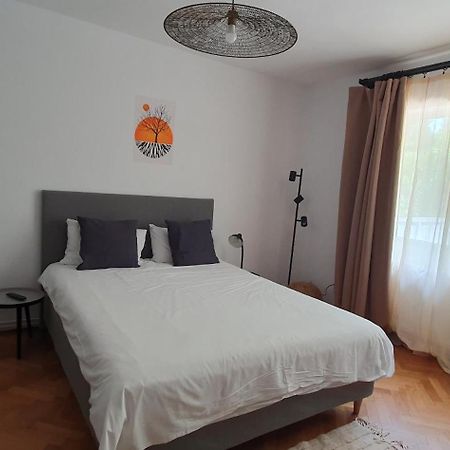 The Pines Serviced Apartments Брашов Экстерьер фото