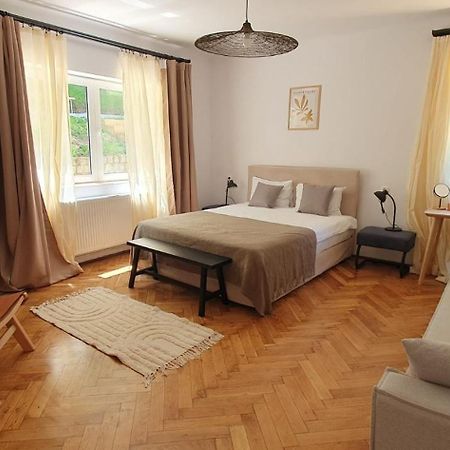 The Pines Serviced Apartments Брашов Экстерьер фото