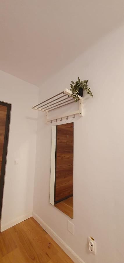 The Pines Serviced Apartments Брашов Экстерьер фото